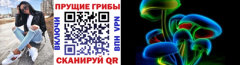 Псилоцибиновые грибы Psilocybe  цена   Нурлат 